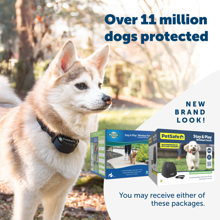 Wireless dog hotsell collar batteries